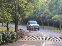 -杭州野生动物世界