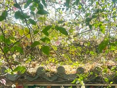 -深圳国际园林花卉博览园