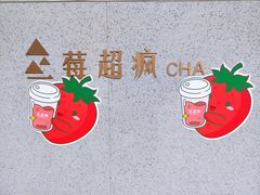 -莓超疯(浦西万达店)