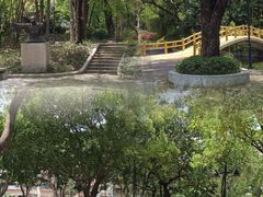 -晓港公园