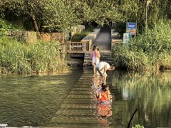 -大兴滨河森林公园