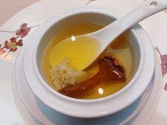 -诺莱仕游艇会