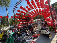-龙福源密云水库灶台鱼