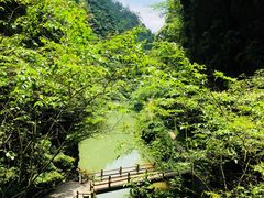 -溪口-滕头旅游景区