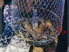 -钳真多钓虾馆·小龙虾海鲜烧烤(九六广场店)
