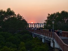 -宝安西湾红树林湿地公园
