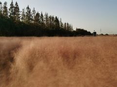 -嘉北郊野公园