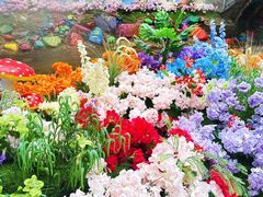 -洛阳白云山景区