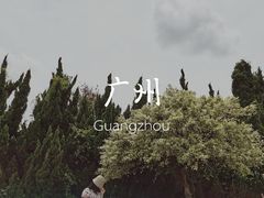 -南沙蒲洲花园