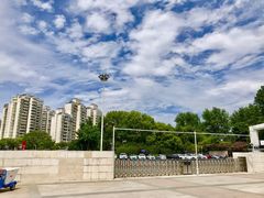 -大宁郁金香公园-停车场