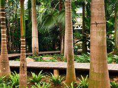 -石家庄市植物园