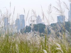 -菜园坝水果市场