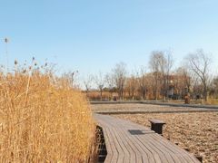 -永定河休闲森林公园