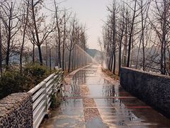 -石家庄市植物园