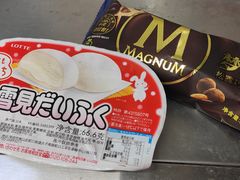 -都江堰中华大熊猫苑