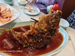 糖醋黄河鲤鱼-梅飞酒家(名辉豪庭店)