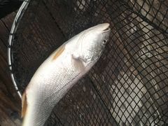 -海上驿站渔家菜馆