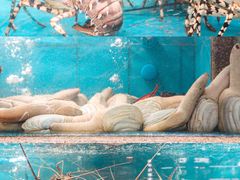 -达叔香味海鲜(海棠68环球美食街店)