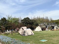 -上海滨江森林公园