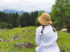 -硗碛藏寨·神木垒景区