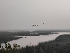 -盐城丹顶鹤湿地生态旅游区