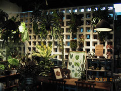 -自由生长植物工作室(深港花卉中心店)