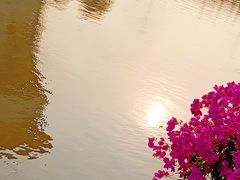 -海心沙亚运公园