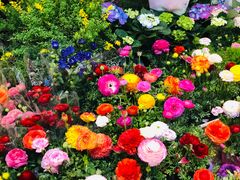 -双季花艺园艺市场(浦东店)
