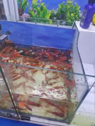 点击看大图 -玄武湖景区-情侣园游乐场