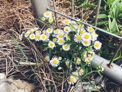 -杭州城北体育公园