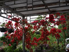 -生宇山珍野生菌汤锅•始于2002(双流古塔店)