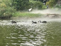 -广州长隆飞鸟乐园