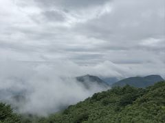 -娄山关景区