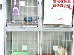 -派特宠物医院(圆融广场店)