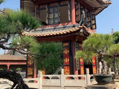 -碧江金楼