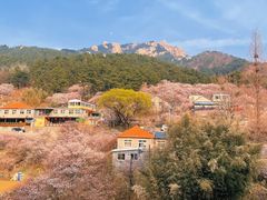 -崂山九水游览区