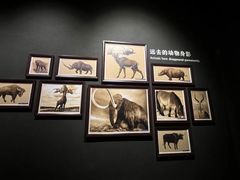 -大庆市博物馆