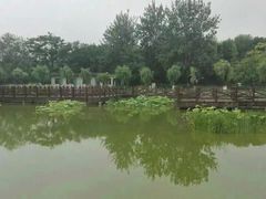 -丰台科技园生态主题公园