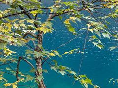 -叠溪松坪沟景区