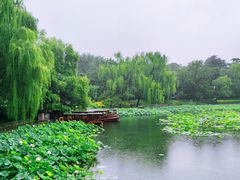 -皇家御河游(紫御湾码头)