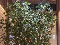 -晓宇重庆火锅(西安荟聚店)