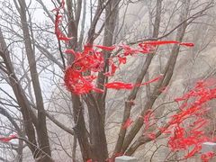 -崂山巨峰游览区