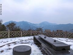 -中国茶叶博物馆(双峰馆区)