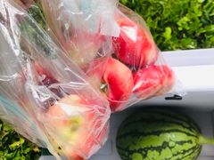 -蘇锦宴·淮扬菜烤鸭·小院(三元桥霄云路店)