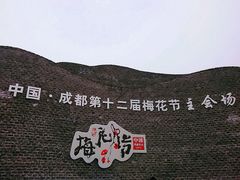 -秀丽东方