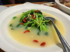 上汤豆苗-中发源·清真餐厅(春风店)