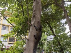 -成都市活水公园