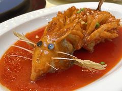 -丁老爷子苏香圆
