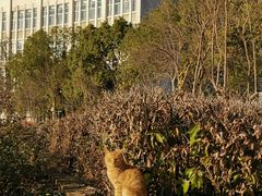 -武汉交通职业学院