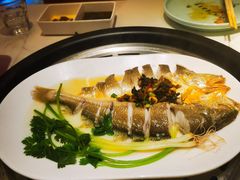 -苏大嘴蒸汽海鲜·海胆蒸饺(中山广场店)